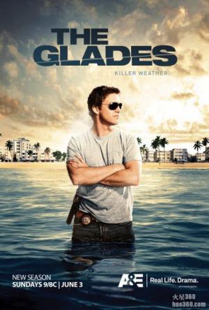 血迷棕榈 血迷棕榈