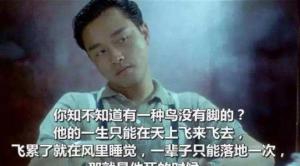 35句经典电影台词欣赏(双语中英对照) 35句经典电影台词欣赏(双语中英对照)