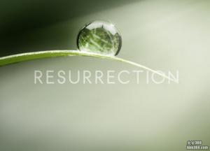 ABC台未定档新剧前瞻——《逝者重临》(Resurrection) ABC台未定档新剧前瞻——《逝者重临》(Resurrection)