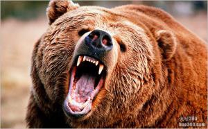 《权力的游戏》增加拍摄取景地 将有熊出没 《权力的游戏》增加拍摄取景地 将有熊出没