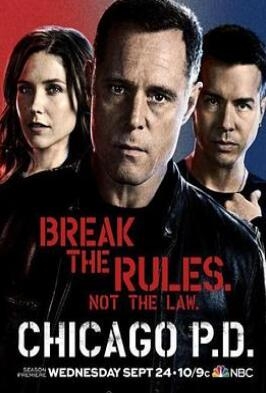 《芝加哥警署 第二季》全集/Chicago P.D. Season 2 《芝加哥警署 第二季》全集/Chicago P.D. Season 2
