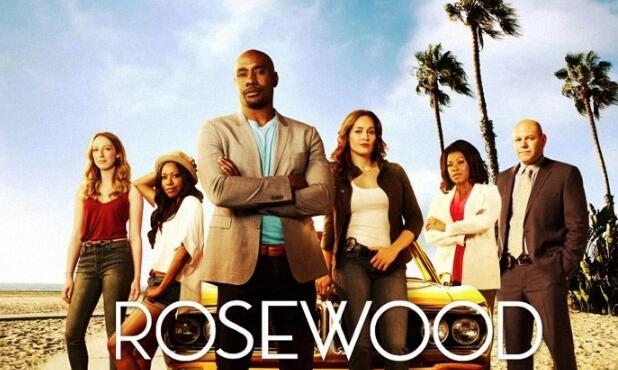 私家法医第一至二季 Rosewood 全集迅雷下载 私家法医第一至二季 Rosewood 全集迅雷下载